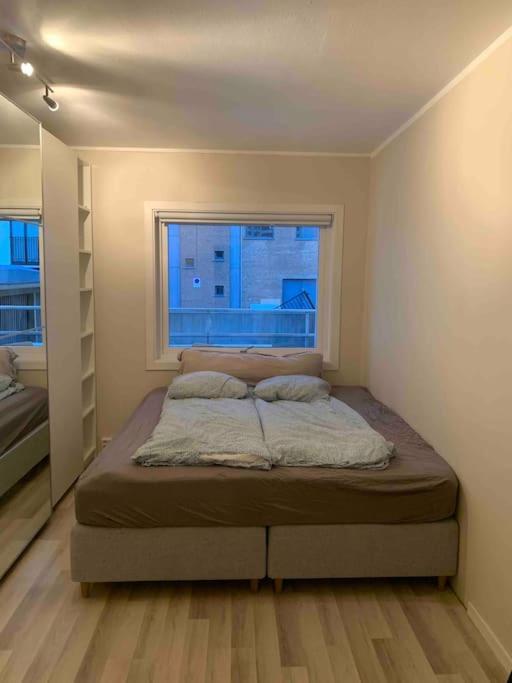 Appartement Trivelig I Sentrum! *